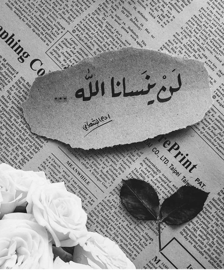 المؤلف
