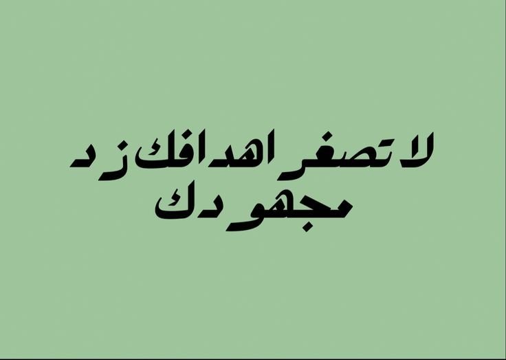 المؤلف