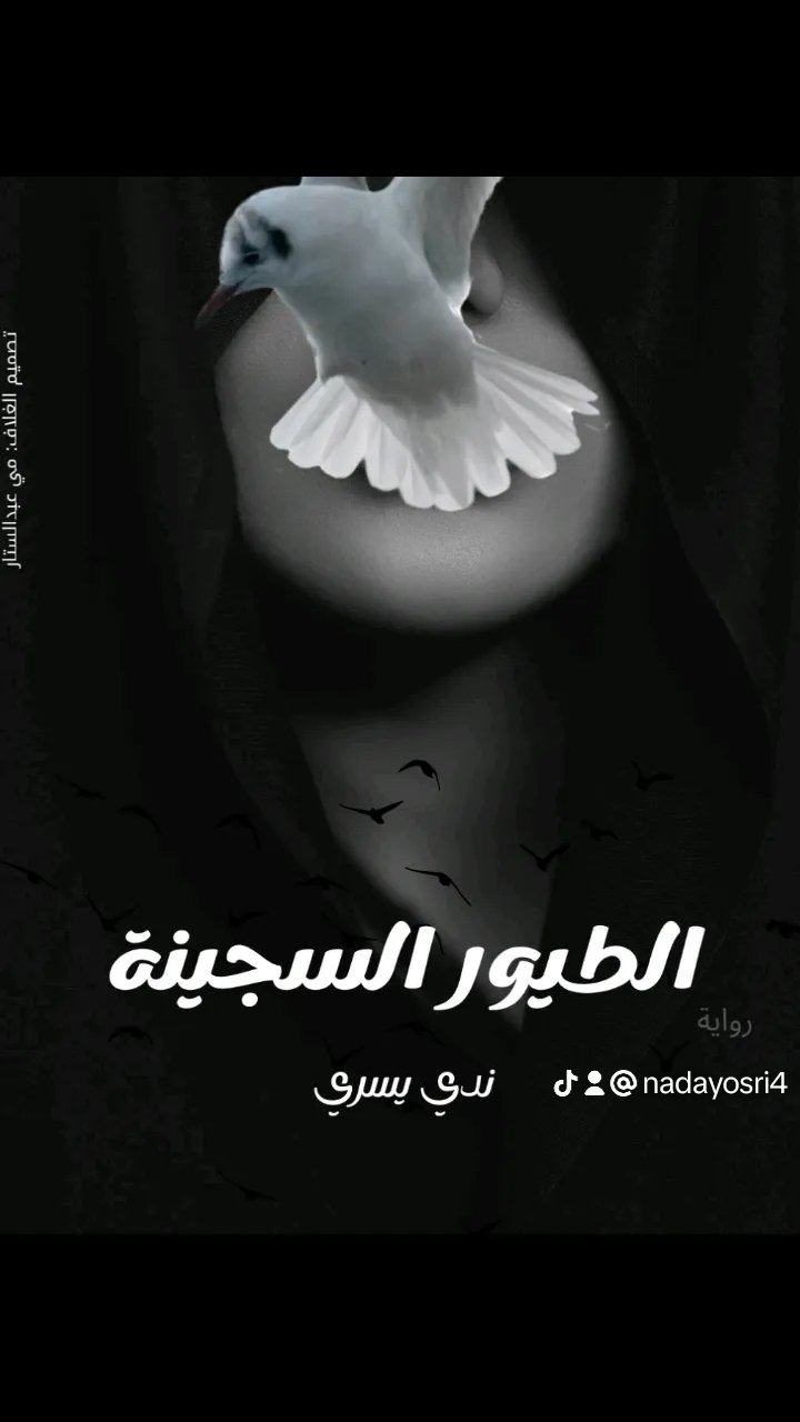 المؤلف
