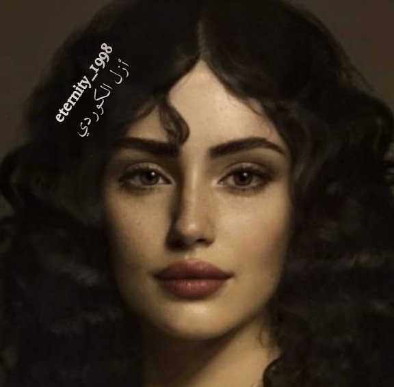 المؤلف