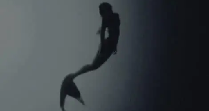 المؤلف