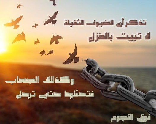 المؤلف