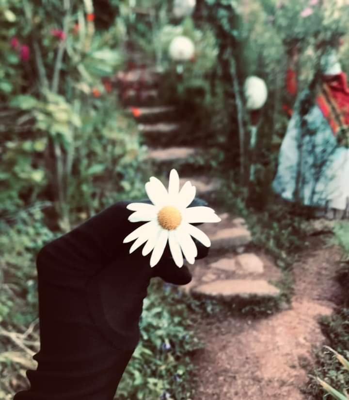 المؤلف